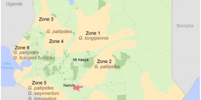 Кенија институт на анкетирање и мапирање курсеви